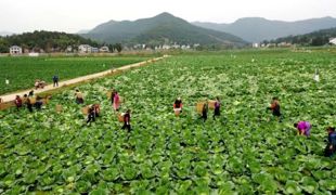 渠县：监督护航产业振兴 田间地头焕发新活力