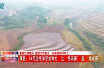 18万亩冬洋芋抢种忙 渠县让“冬闲田”变“增收田”