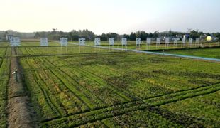 渠县：科技护航 40万亩油菜冬管“凭经验”变“靠数据”