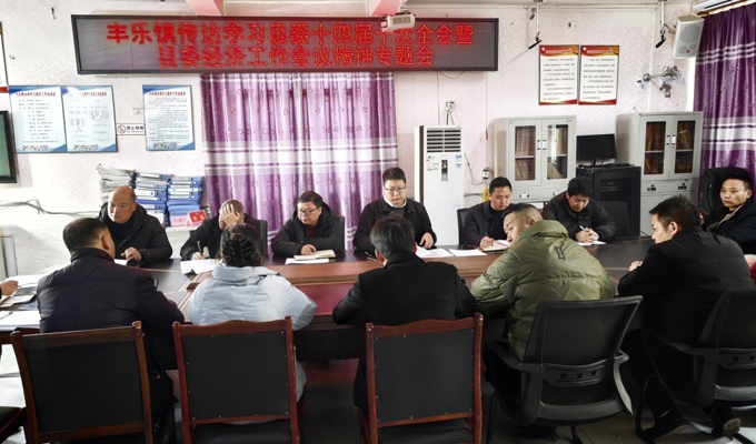 丰乐镇专题传达学习县委十四届十次全会暨县委经济工作会议精神