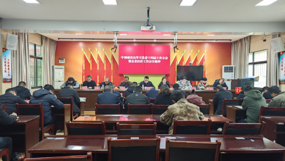 中滩镇传达学习县委十四届十次全会精神