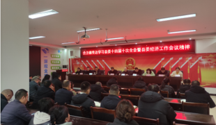 合力镇传达学习县委十四届十次全会暨县委经济工作会议