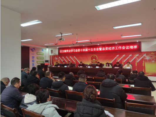 合力镇传达学习县委十四届十次全会暨县委经济工作会议