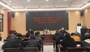 绘蓝图  定目标  抓发展