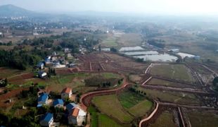 渠县高标准农田：“路通水畅”筑稳“吨粮田”耕基