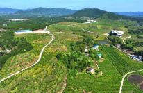 【三大提升行动 · 共治同行】治水护绿筑屏障——渠县激活生态振兴密码