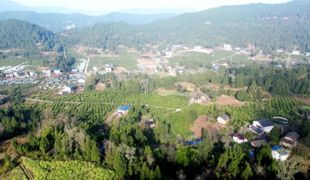 【渠向未来“十五五”】渠县：“协商助企”精准发力 激活农业发展新动能