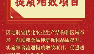 中央一号文件的这些提法，值得关注！