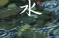 雨水 | 润物无声春意浓