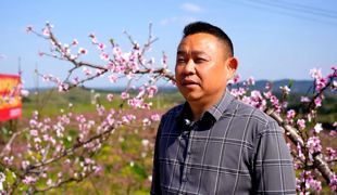 渠县：“花经济”点燃春日农旅融合新引擎