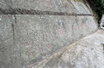 红色达州·渠县篇｜一块石头，刻着红九军的誓言