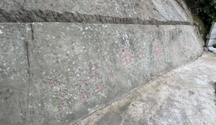 红色达州·渠县篇｜一块石头，刻着红九军的誓言