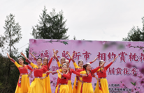 新市镇：桃夭竞艳绽芳华 活动纷呈展华章