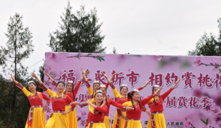 新市镇：桃夭竞艳绽芳华 活动纷呈展华章
