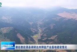 唐廷教赴渠县调研达州钾盐产业基地建设情况