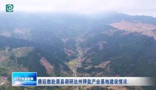 唐廷教赴渠县调研达州钾盐产业基地建设情况
