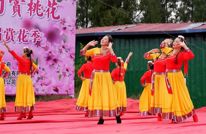 以花为媒 绘就乡村振兴新画卷