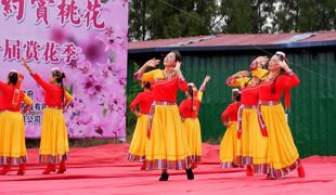 以花为媒 绘就乡村振兴新画卷