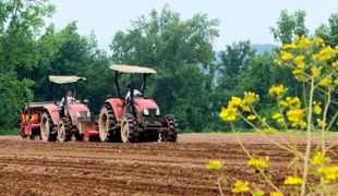 渠县：科技“慧”种地 增收底气足