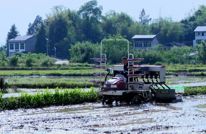 渠县：水稻种肥同播春耕上新 科技种田省肥省力稳增收