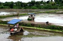 渠县：科技赋能春耕 机插秧快捷高效