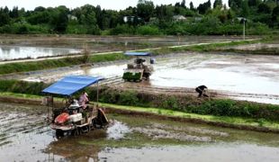 渠县：科技赋能春耕 机插秧快捷高效