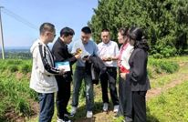 市食药检所专家团赴渠县调研帮扶黄花产业发展