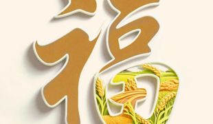 请查收！第36个全国土地日主题海报来了
