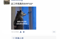 微信回应朋友圈互动规则