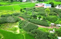落实省委全会精神·建设福美渠县 | 雁领人才旺 培育乡村振兴生力军