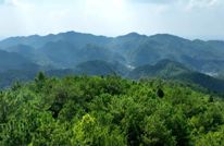 科技赋能织密防护网 筑牢夏季森林防灭火安全屏障