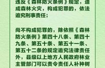 森林防火不放松，牢记这些要点→
