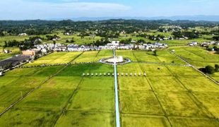 渠县：120余台套智能烘干机具 为秋粮归仓“保驾护航”