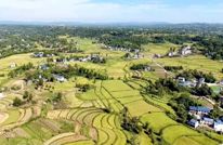 渠县：跨区农机助秋收 颗粒归仓保丰收