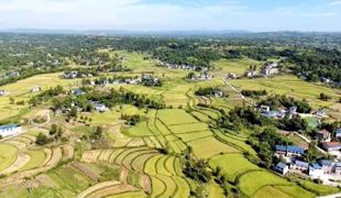 渠县：跨区农机助秋收 颗粒归仓保丰收