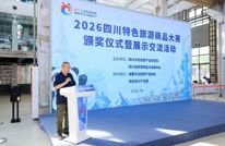 太雅致！渠县汉阙变身国风“发圈”，斩获省级铜奖
