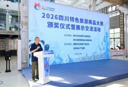太雅致！渠县汉阙变身国风“发圈”，斩获省级铜奖