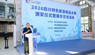 太雅致！渠县汉阙变身国风“发圈”，斩获省级铜奖