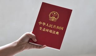 今天起，生态环境法典正式施行！