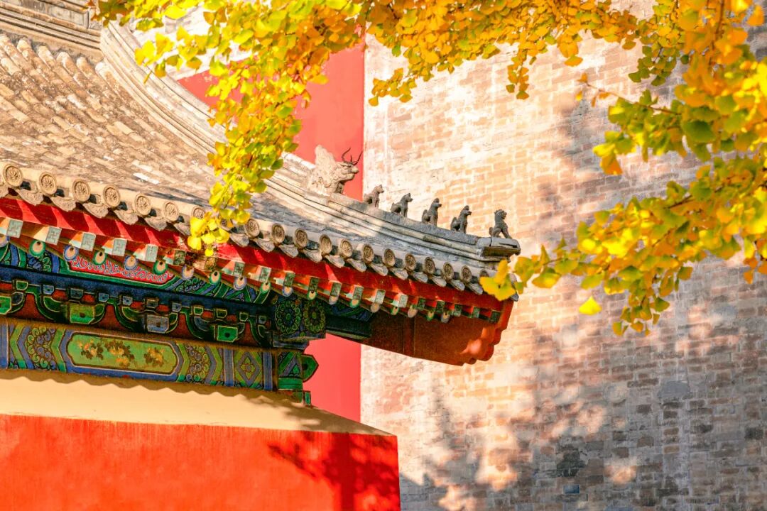 摄图网_501788669_北京香山公园枫叶（企业商用）.jpg