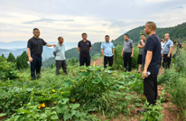 李馥镇青山村有机蔬菜基地年产值超千万