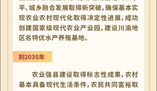 一图读懂｜中共渠县县委十四届十三次全会公报