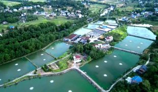 丰乐镇川燕村：探索集体经济“百万增收”新路径（下）