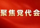 乘势而上 踔厉奋发丨深入学习贯彻县第十五次党代会精神（四）