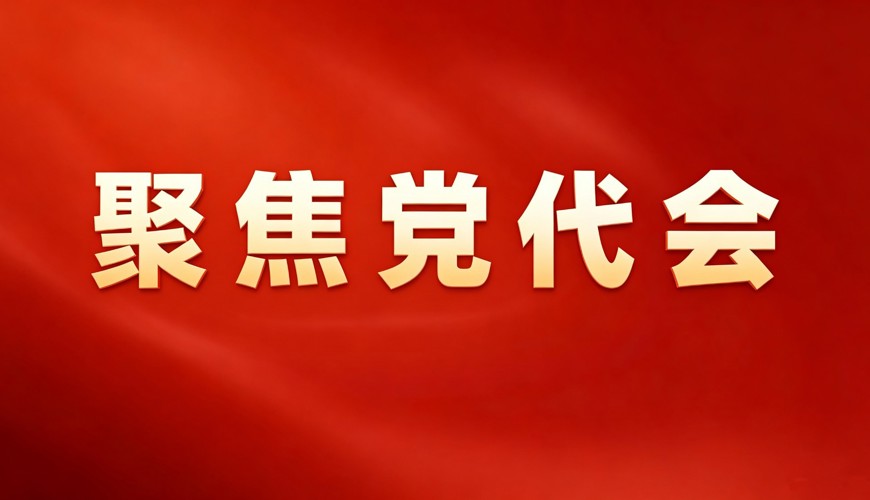乘势而上 踔厉奋发丨深入学习贯彻县第十五次党代会精神（四）