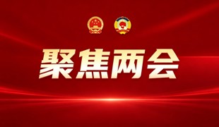 聚焦两会 | 县人大代表分团审议政府工作报告、人大常委会报告及其他报告