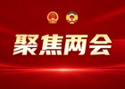 接续奋斗 笃行不怠丨深入学习贯彻县两会精神（三）