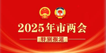 2025年市两会