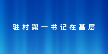 驻村第一书记在基层