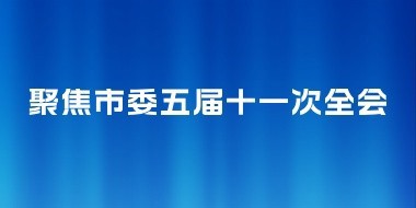 聚焦市委五届十一次全会